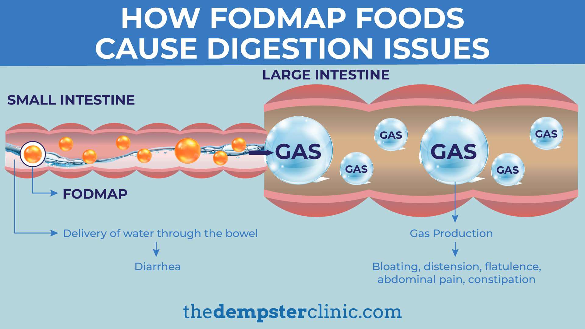 Low FODMAP Diet 101 What You Need to Know to Get Started